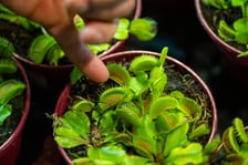 Targi na Tarczyński Arenie w 2024 roku