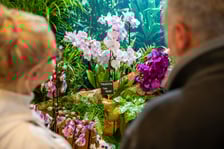 Targi na Tarczyński Arenie w 2024 roku