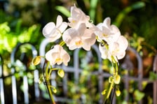 Targi na Tarczyński Arenie w 2024 roku