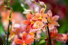 Targi na Tarczyński Arenie w 2024 roku