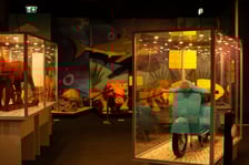 Wystawa Budowli z Klocków Lego w Sky Tower