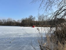 Zamarznięty staw przy ul. Głównej we Wrocławiu, 1 luty 2026 r.