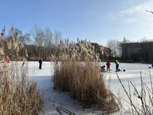 Zamarznięty staw przy ul. Głównej we Wrocławiu, 1 luty 2026 r.