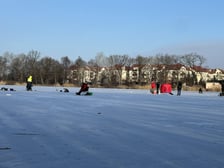 Zamarznięty staw przy ul. Głównej we Wrocławiu, 1 luty 2026 r.
