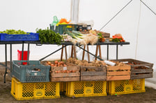 <p>Dolnośląski Targ Rolny przy ul. Zwycięskiej. Wrocław, 24.01.2026</p>