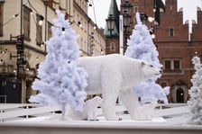 Lodowisko w Rynku, 30.01.2026