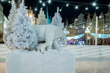 Lodowisko w Rynku we Wrocławiu nocą