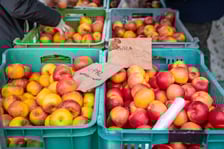 <p>Dolnośląski Targ Rolny przy Zwycięskiej 8</p>