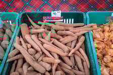 <p>Dolnośląski Targ Rolny przy Zwycięskiej 8</p>