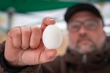 <p>Dolnośląski Targ Rolny przy Zwycięskiej 8</p>