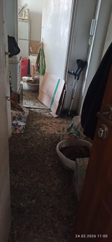 <p>Interwencja w mieszkaniu na Nowowiejskiej - Animal Patrol likwiduje nielegalny "gołębnik"</p>