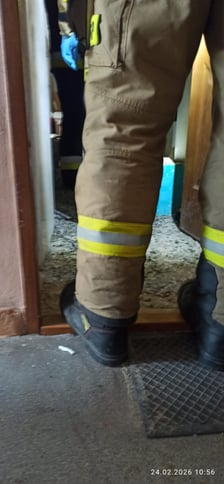 <p>Interwencja w mieszkaniu na Nowowiejskiej - Animal Patrol likwiduje nielegalny "gołębnik"</p>