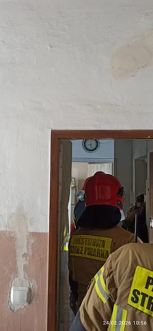 <p>Interwencja w mieszkaniu na Nowowiejskiej - Animal Patrol likwiduje nielegalny "gołębnik"</p>