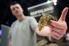 Targi Zooegzotyka w Hali Orbita