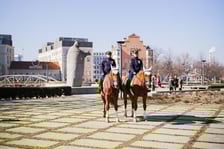 <p class="MsoNormal">Obchody rocznicy I Kongresu Polak&oacute;w w Niemczech przy kościele św. Marcina na Ostrowie Tumskim</p>