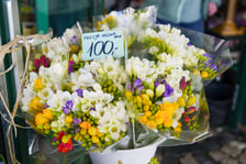 Kwiaty na Dzień Kobiet 2026