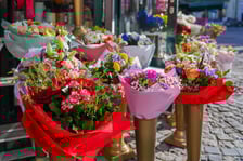 Kwiaty na Dzień Kobiet 2026