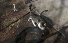 Podwórko przy ul. Brzeskiej 25A przed metamorfozą