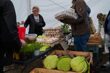 <p>Dolnośląski Targ Rolny przy ul. Zwycięskiej we Wrocławiu, 14.03.2026</p>