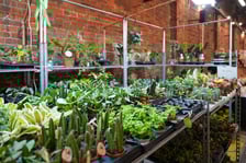 Festiwalu Kupuj Świadomie w Czasoprzestrzeni - 15.03.2026 r.