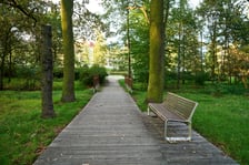 <p>Park Maślicki</p>