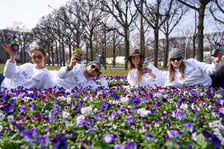 <p>Wrocławianie otrzymali doniczki z kwiatami. Wcześniej zakrywały tajemniczy napis</p>