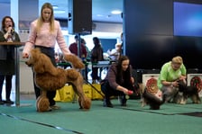 Dolnośląskie Targi Zoologiczne na Tarczyński Arena Wrocław