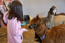 Dolnośląskie Targi Zoologiczne na Tarczyński Arena Wrocław