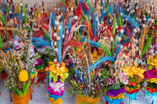 Niedziela Palmowa we Wrocławiu, 29.03.2026 r.