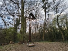 <p>Stuletni krzyż nad Odrą. Marzec 2026.</p>