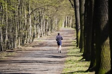 Trasa biegowa wzdłuż Kanału Żeglugowego i Powodziowego między Mostami Chrobrego a Jagiellońskimi