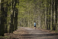 Trasa biegowa wzdłuż Kanału Żeglugowego i Powodziowego między Mostami Chrobrego a Jagiellońskimi