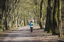 Trasa biegowa wzdłuż Kanału Żeglugowego i Powodziowego między Mostami Chrobrego a Jagiellońskimi