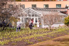 <p>Spacer po Ogrodzie Botanicznym we Wrocławiu - Wielkanoc 2026</p>