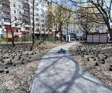 Nasadzenia na skwerach przy ul. Wandy oraz Na Szańcach