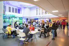 Miasteczko Zdrowia we Wrocławiu - 10 kwietnia 2026 r.