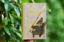 <p>Laura Cumming, &bdquo;Grom z jasnego nieba. Opowieść o życiu, sztuce i nagłej śmierci&rdquo;, przełożyła Anna Sak, Wydawnictwo Literackie</p>