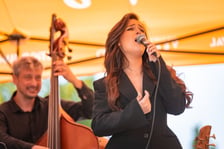 Koncert w Parku Południowym, Vertigo Summer Jazz Festival 2026