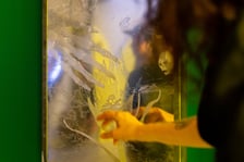 Przed otwarciem wystawy „Gorączka gotyku” w Studio BWA Wrocław, 24 lipca 2026