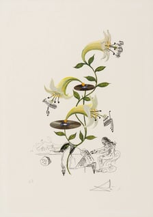 Salvadore Dali ? Lilia/lilia muzyczna