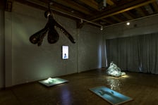 <p>Praca na wystawie &bdquo;Autonomous Zones&rdquo; w BWA Wrocław Gł&oacute;wny</p>