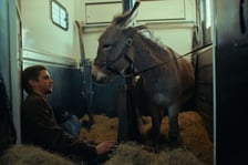 Kadr z filmu "IO" Jerzego Skolimowskiego, na zdjęciu aktor z osiołkiem