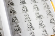 <p>Na zdjęciu strony z albumu poświęconego tw&oacute;rczości Natalii LL</p>