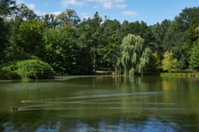 Pałac i park w Leśnicy