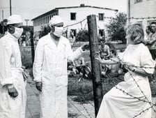 Zdjęcia z wystawy ?Odizolowani 1963. Epidemia ospy we Wrocławiu? w Pałacu Królewskim.