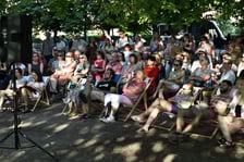 Europejska Noc Literatury w parku Goethego przy ul. Przestrzennej. Książkę "Moja żona nie tańczy" czyta Piotr Cyrwus.