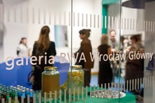 Palmiarnia na Dworcu Głównym - wizualizacja