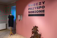 <p>Wystawa &bdquo;Rzeczy przysposobione&rdquo; w Muzeum Etnograficznym do 25 sierpnia</p>