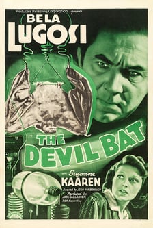 <p>Plakat filmu Diabelski nietoperz</p>