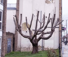 Mural w Finsbury P{ark (Islington) w Londynie